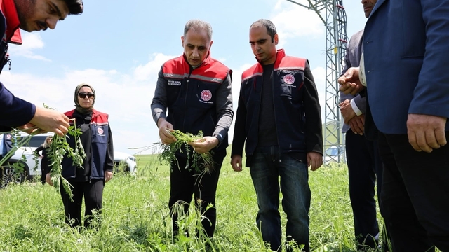 Akyaka'da dolu yağışı tarım arazilerini vurdu: Hasar tespit çalışmaları sürüyor