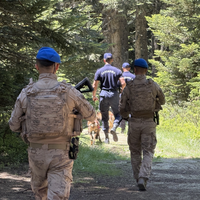 Uludağ'ın zümrüt yeşili ormanları Jandarma'ya emanet
Uludağ'da asker, karış...