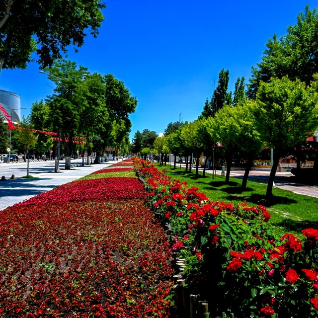 Malatya'da park ve kavşaklar çiçeklerle süslendi
