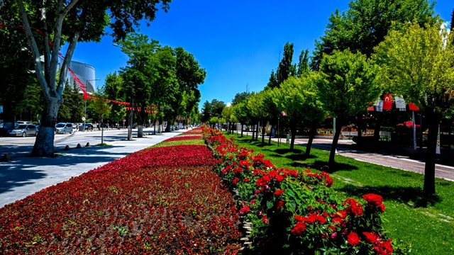 Malatya'da park ve kavşaklar çiçeklerle süslendi