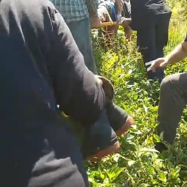 Kiraz toplamak için çıktığı ağaçtan düştü