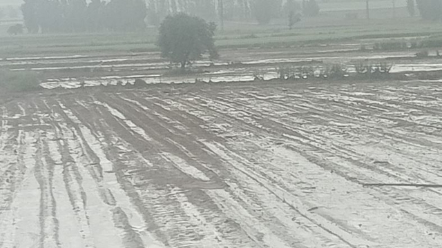 Kayseri'de sağanak ve dolu ekili alanlara zarar verdi
