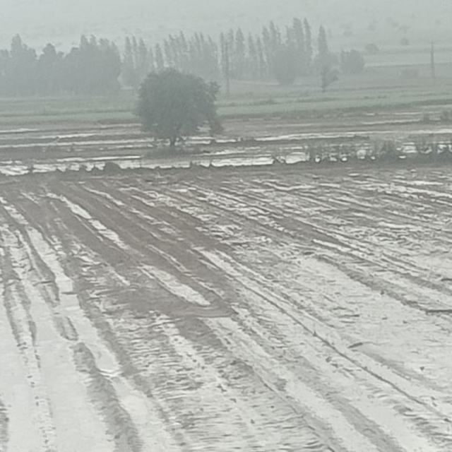Kayseri'de sağanak ve dolu ekili alanlara zarar verdi