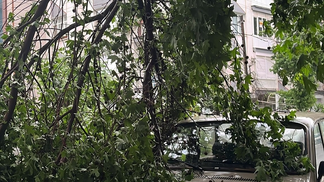 Manisa'da sağanak; sel sularının evin kapısından taştığı anlar kamerada