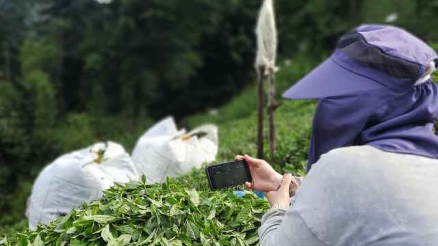 Rize'de çay bahçesinde milli maç heyecanı