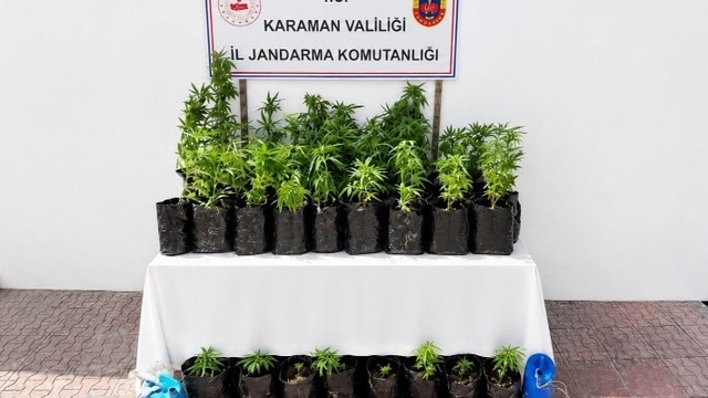 Karaman'da 2 bin 802 kök kenevir ele geçirildi
Asayiş ekiplerince yürütülen çalışmalar neticesinde yakalanan 140 kişiden 13'ü tutuklandı