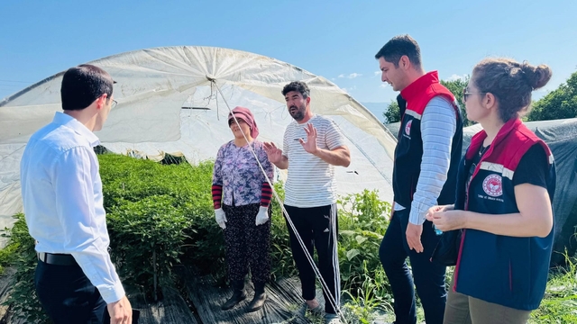 Bozdoğan'da tarımsal üretim sahada değerlendirildi