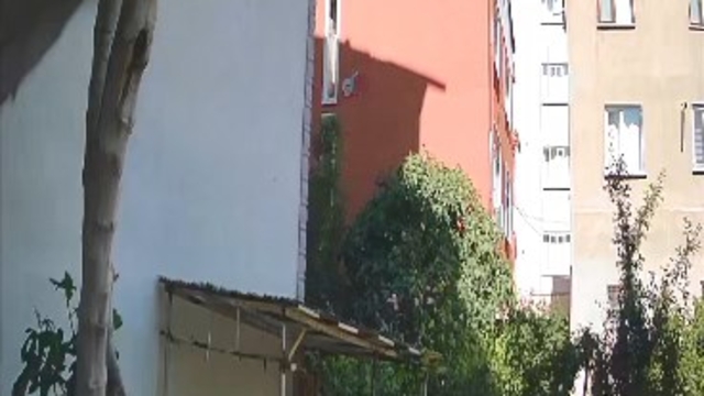 Galeri
