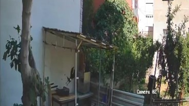 Yumurtaları alıp götüren karga kamerada