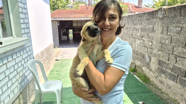 İki gönüllünün şefkat eli yüzlerce sokak hayvanına ulaşıyor
Eskişehir kırsalındaki aç hayvanları besliyorlar, yaralı olanları tedavi ettiriyorlar
Hayvansever Hatice Korkmaz:
"Şu anda yaklaşık 500 hayvanla ilgileniyoruz"