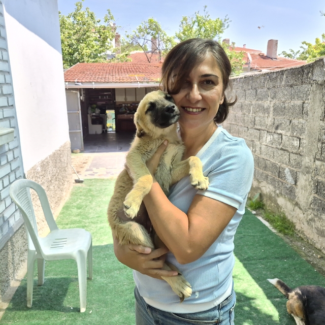 İki gönüllünün şefkat eli yüzlerce sokak hayvanına ulaşıyor
Eskişehir kırsa...