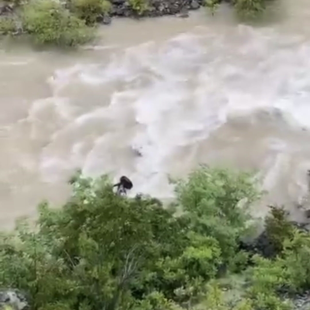 Artvin'de bir otomobil Çoruh Nehri'ne düştü; baba ile oğlu aranıyor
