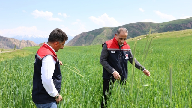 Kars'ta fenolojik gözlem çalışmaları sürüyor