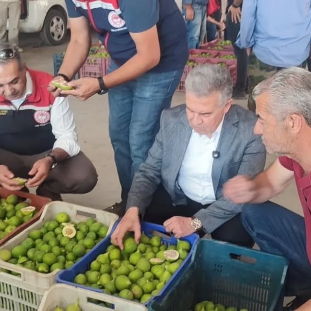 Buharkent'te ilekler, tezgahta incelendi