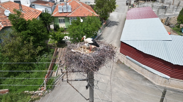 Galeri