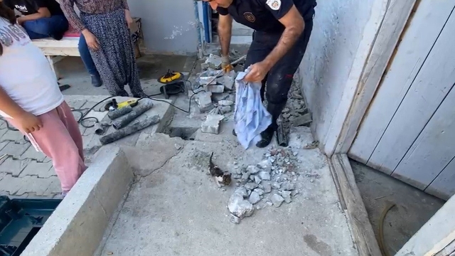 Plastik boruya sıkışan yavru kedi itfaiye ekiplerince kurtarıldı