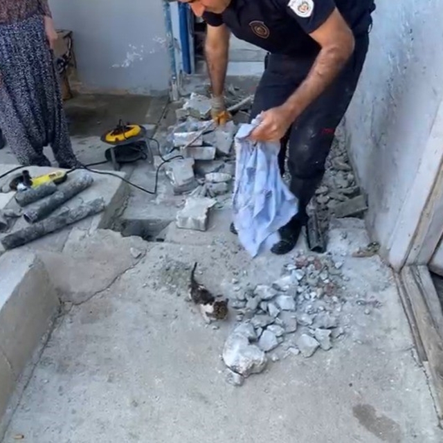 Plastik boruya sıkışan yavru kedi itfaiye ekiplerince kurtarıldı
