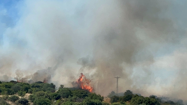 Çanakkale'de bozuk orman sahasında yangın
