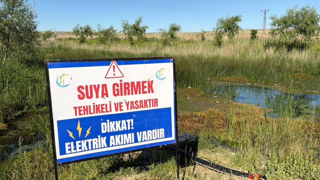 Galeri