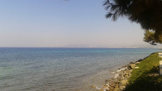 Kuşadası'nda deniz suyu kalitesi yüz güldürdü