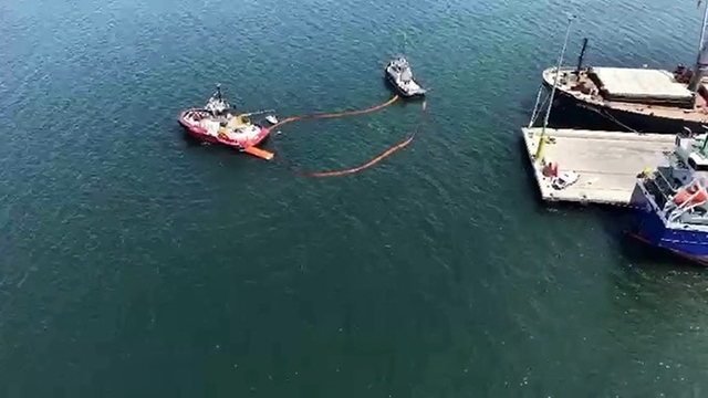 Marmara Denizi'nde dev kirlilik tatbikatı
Gemlik'te deniz kirliliğine karşı dev tatbikat