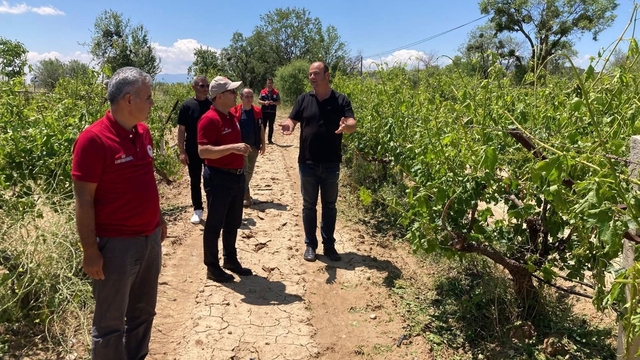 Çal'da dolu yağışı ürünlere zarar verdi