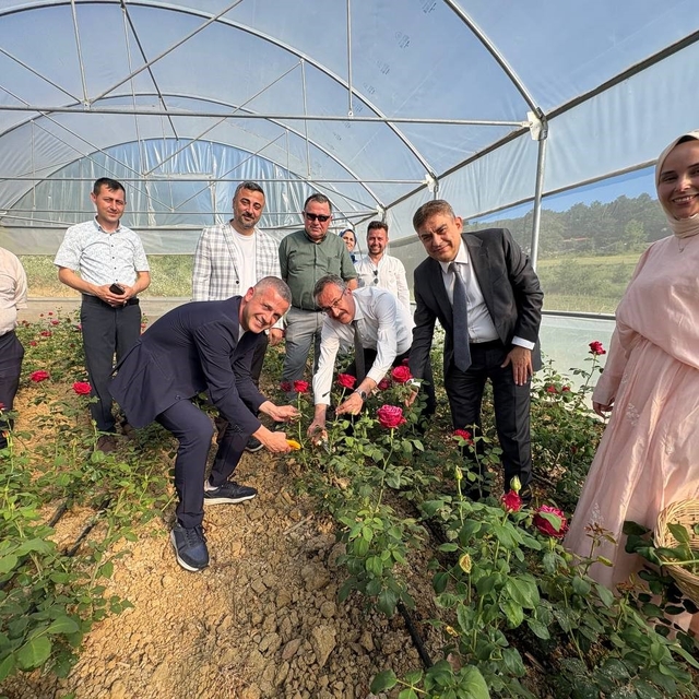 Kadın girişimci hibe desteğiyle Kocaeli'nin ilk gül serasını kurdu
Kocaeli'...