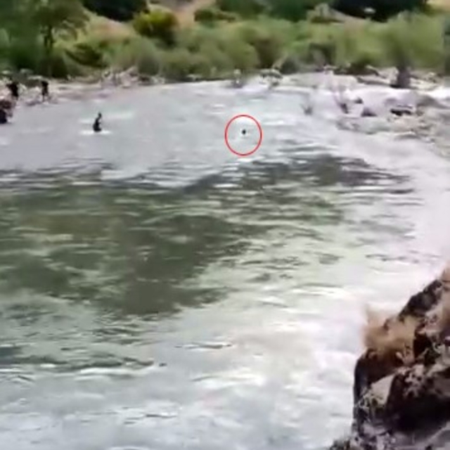 Çayda kaybolmuştu, akıntıya kapıldığı anlar kameraya yansıdı