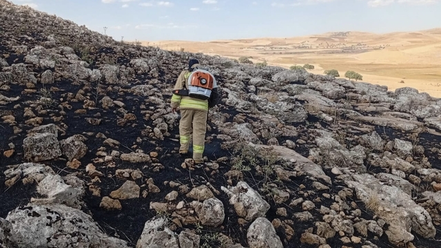 Mardin'de 1 haftada 236 yangına müdahale edildi