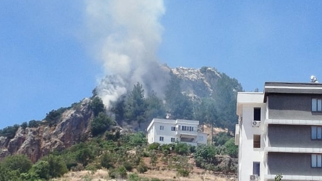 Kahramanmaraş'ta orman yangını