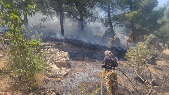 Kahramanmaraş'ta orman yangını