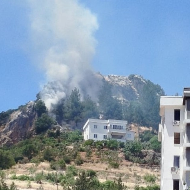 Kahramanmaraş'ta orman yangını