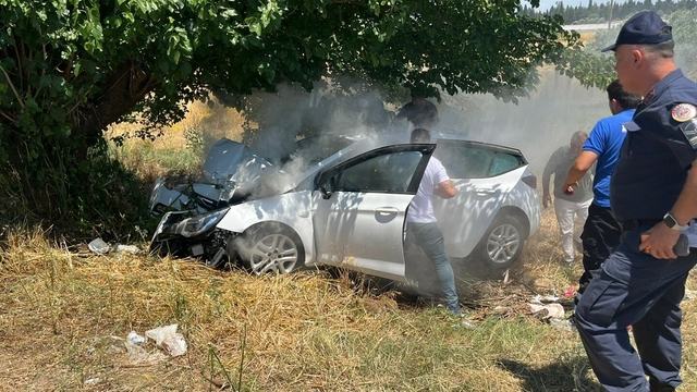 İzmir'de otomobil, ağaca çarptı: 4 ağır yaralı