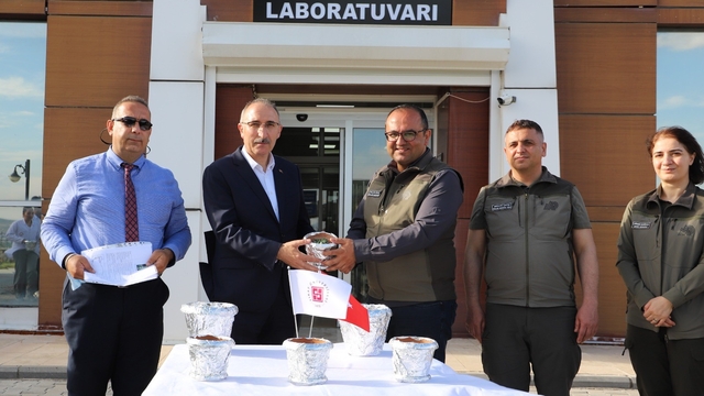 FÜ'de üretilen endemik bitkiler doğaya kazandırılıyor