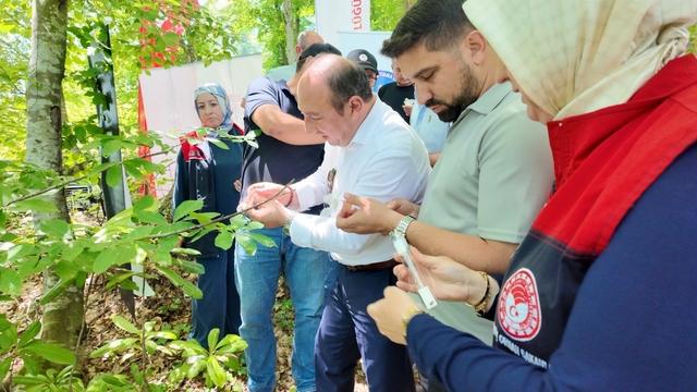 Savaşçı arılar kahverengi kokarcalar için salındı
