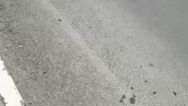Kocaeli'de adliye önünde silahlı saldırıya uğrayan kişi yaralandı