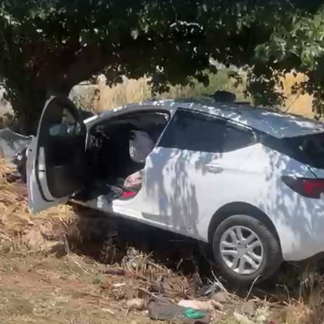 Sollama yaparken ağaca çarptı: 4 ağır yaralı