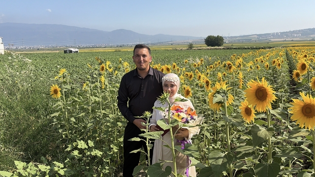 Osmaniye'de ayçiçeği tarlaları yeni evli çiftlerin gözdesi oldu
