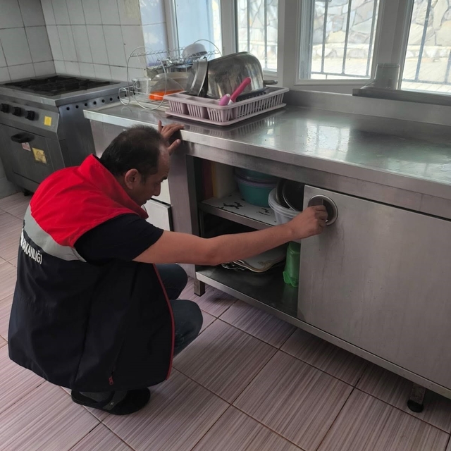 Köşk İlçe Tarım denetimlerini sürdürüyor