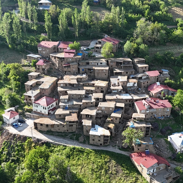 Bitlis'in köylerindeki 300 yıllık taş ve ahşap evler zamana direniyor