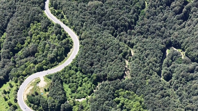 Bursa ormanlarında kartpostallık görüntüler