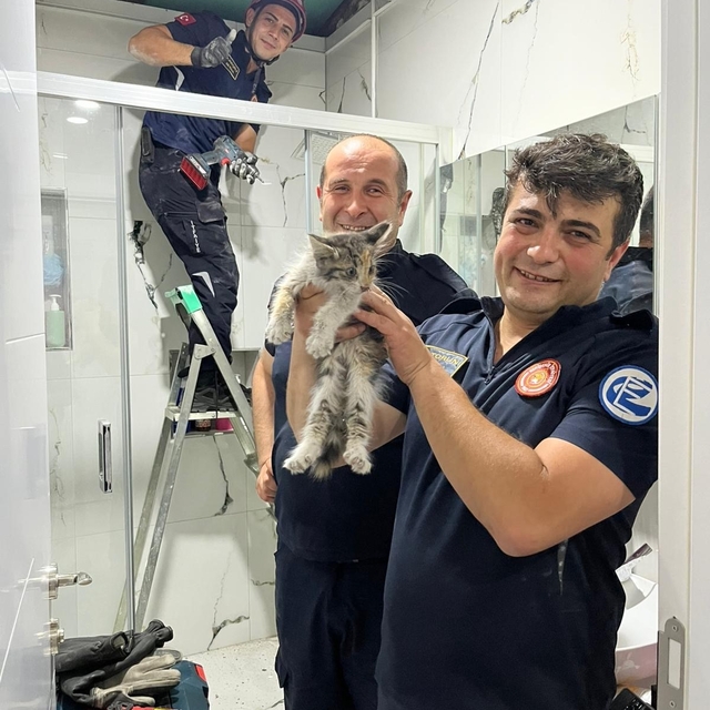 Havalandırma boşluğunda mahsur kalan kediyi itfaiye kurtarıldı