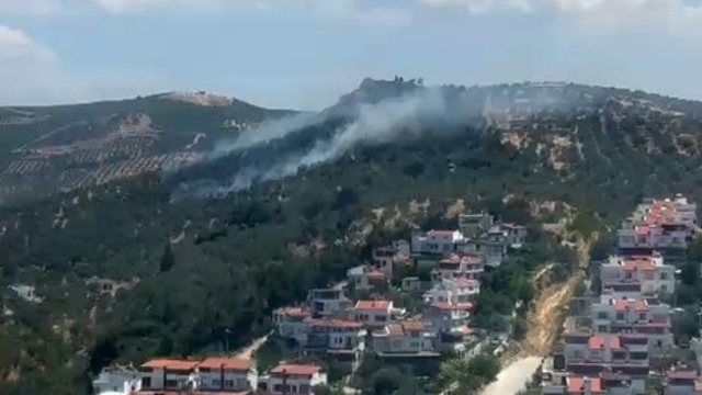 Burhaniye'deki zeytinlik yangını kontrol altına alındı