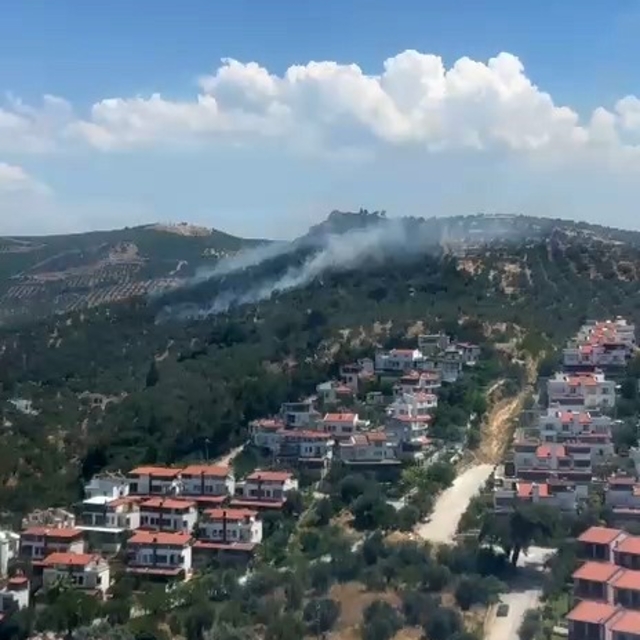 Burhaniye'deki zeytinlik yangını kontrol altına alındı