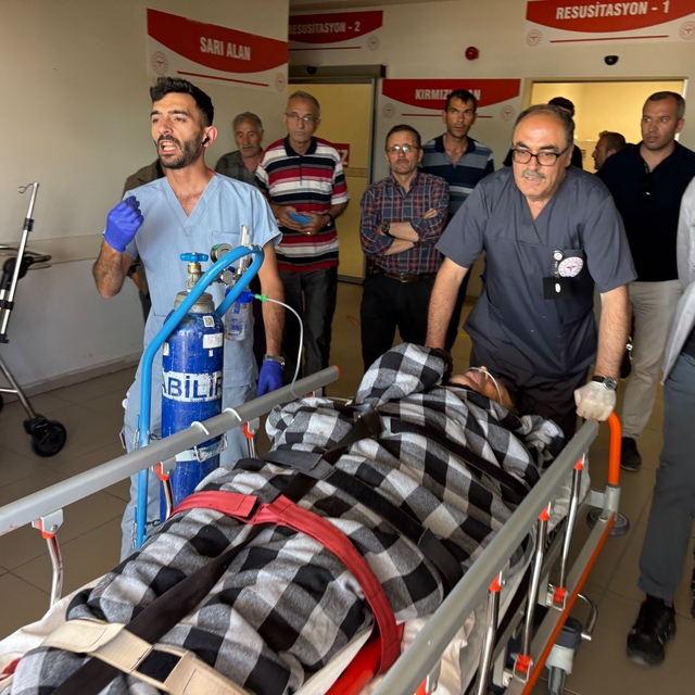 Sivas'ta ayı saldırısına uğrayan çoban yaralandı