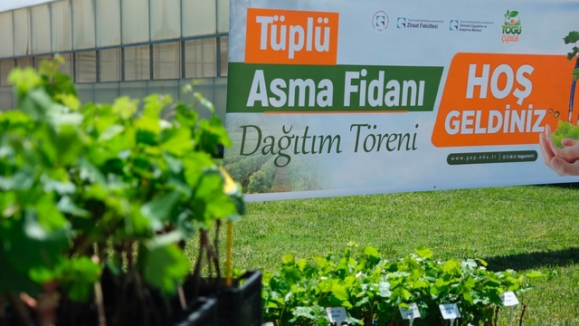 TOGÜ'den üreticiye bağcılık desteği