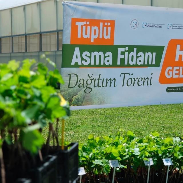 TOGÜ'den üreticiye bağcılık desteği