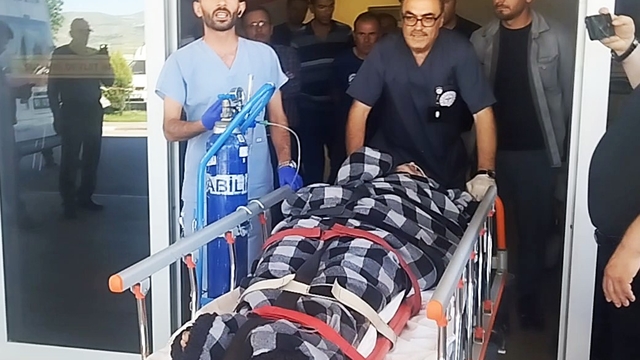 Hayvanlarını otlatırken ayı saldırısına uğradı, Kangallar imdadına yetişti