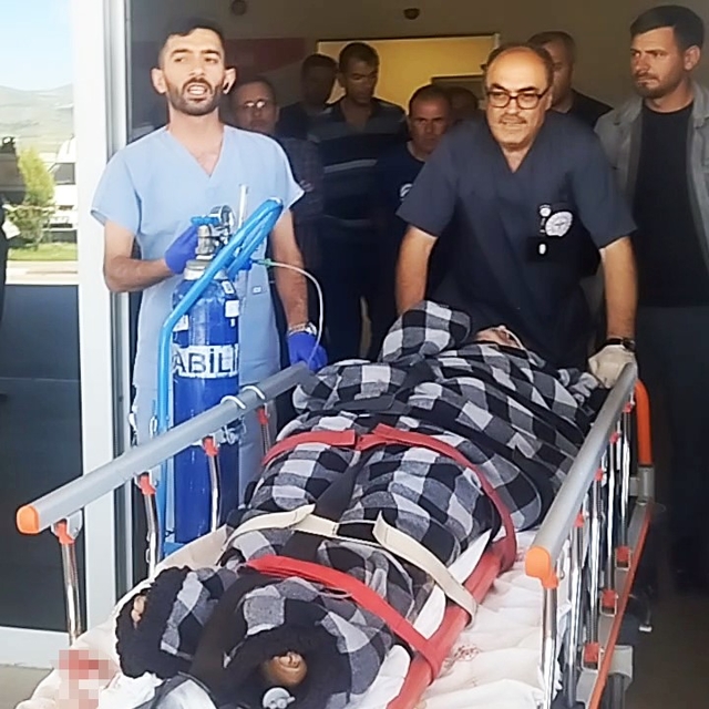 Hayvanlarını otlatırken ayı saldırısına uğradı, Kangallar imdadına yetişti