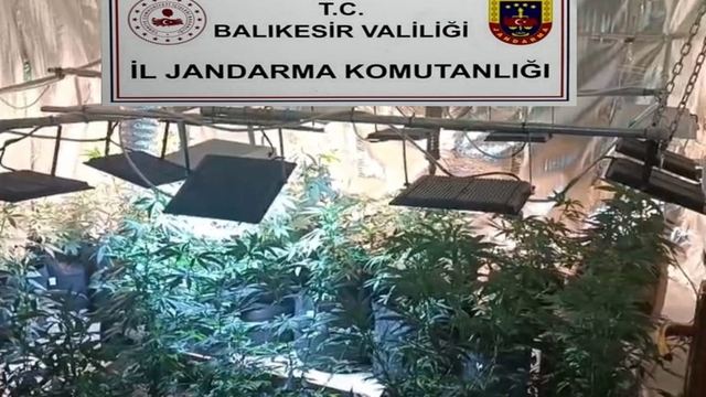 Balıkesir'de jandarmadan uyuşturucu serasına çevrilen evlere baskın: 12 gözaltı